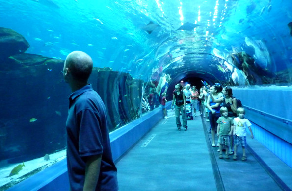 самые большие в мире аквариумы