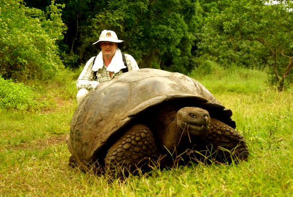 Самая большая черепаха