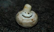 Самые опасные грибы